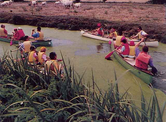 marais